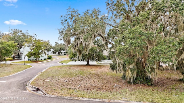 Listing photo 2 for 29041 Grandview Mnr, Yulee FL 32097