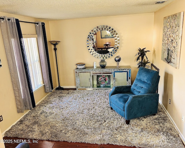 sitting room with a textured ceiling