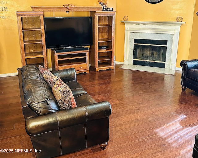 living room featuring a premium fireplace and wood-type flooring