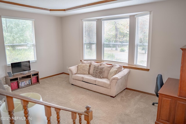 living room featuring a wealth of natural light, light colored carpet, and a raised ceiling