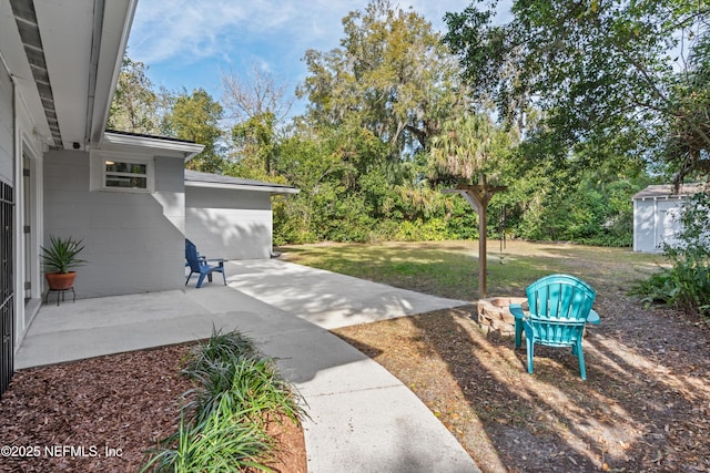 view of yard with a patio area and a storage unit