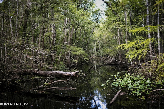 view of nature featuring a wooded view