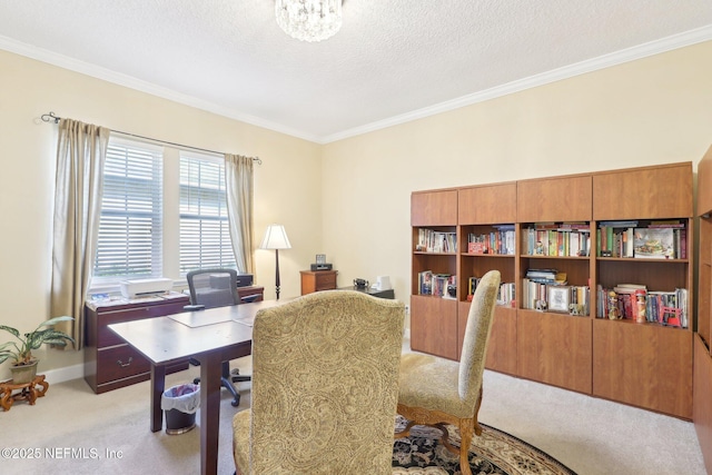 office space featuring light carpet, crown molding, and a textured ceiling