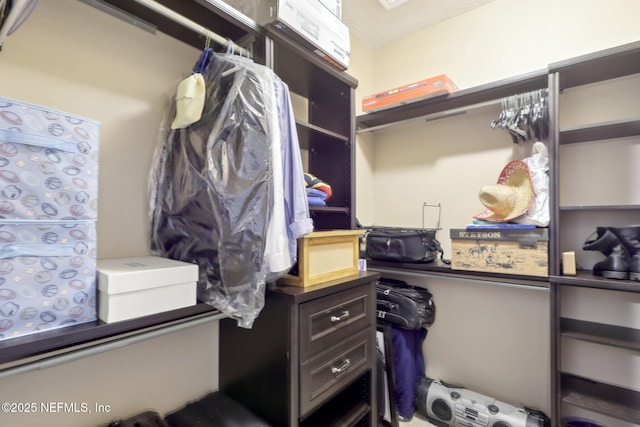 view of walk in closet