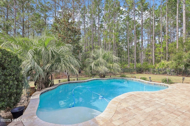 view of pool featuring a patio