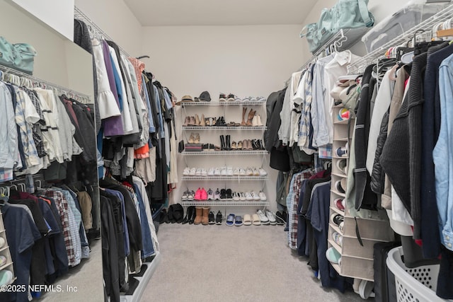 walk in closet featuring carpet floors