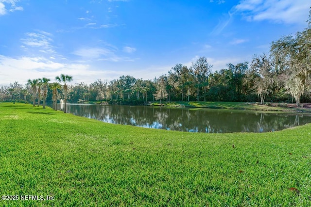 281 Sternwheel Dr, Saint Johns, FL 32259 - photo 64