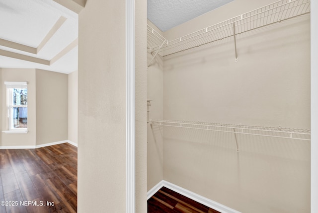 walk in closet featuring dark hardwood / wood-style floors