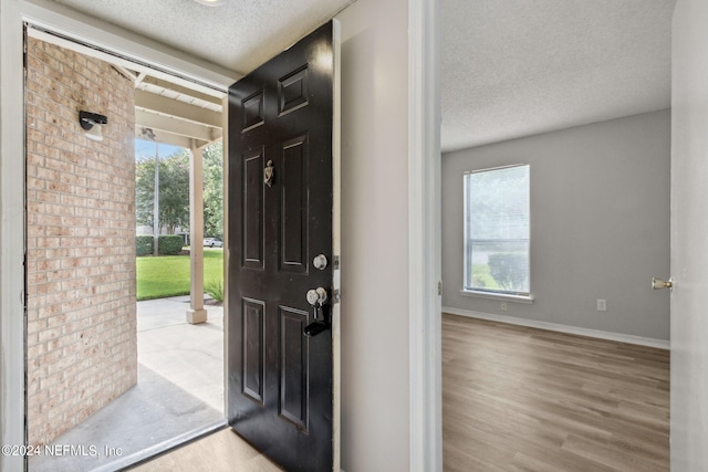 foyer featuring a textured ceiling, light wood-type flooring, and a healthy amount of sunlight