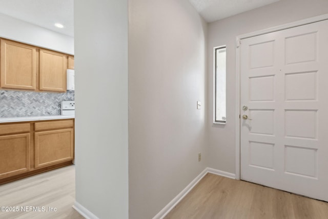 foyer entrance featuring light hardwood / wood-style flooring and a healthy amount of sunlight