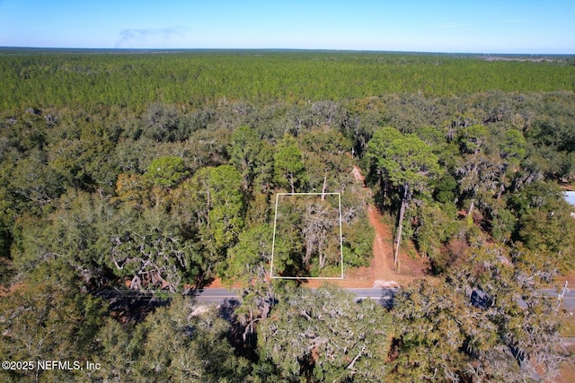 LOT4 Hillcrest Dr, Florahome FL, 32140 land for sale