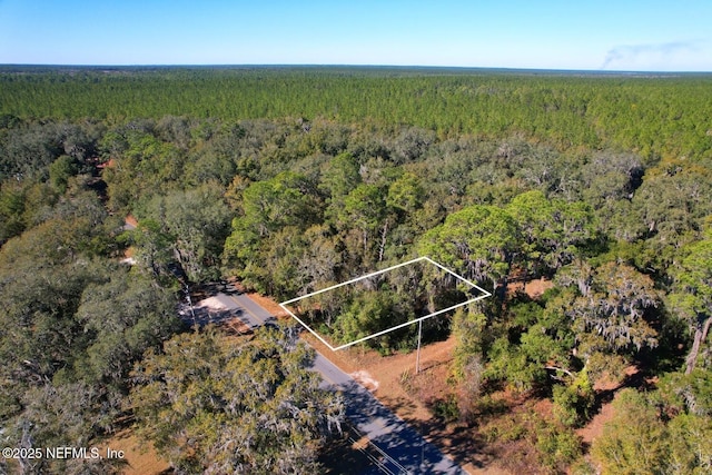 Listing photo 2 for LOT4 Hillcrest Dr, Florahome FL 32140