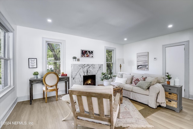 living room featuring a fireplace and light hardwood / wood-style flooring