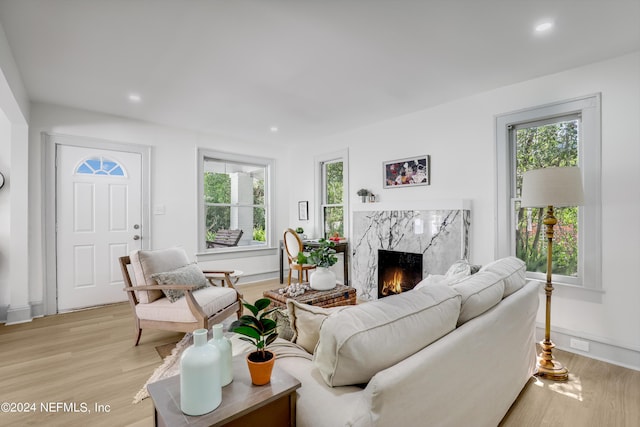 living room with a premium fireplace and light hardwood / wood-style flooring