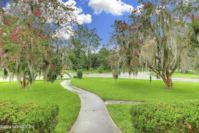 view of property's community featuring a yard