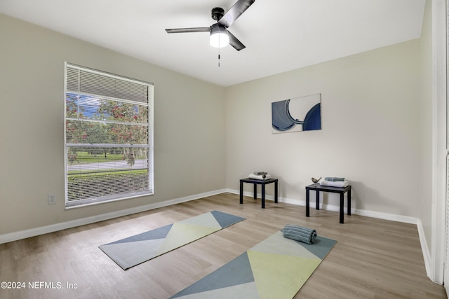 exercise area featuring light wood-type flooring and ceiling fan