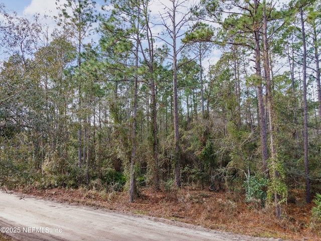 LOT37 Franklin Rd, Hilliard, FL 32046 - photo 6