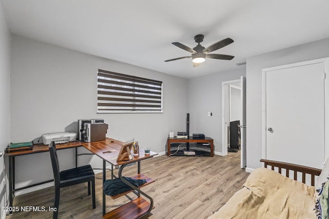 office with ceiling fan and light hardwood / wood-style flooring