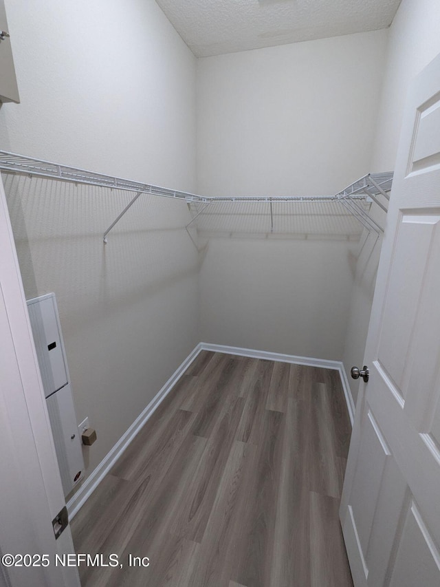 spacious closet with dark hardwood / wood-style floors