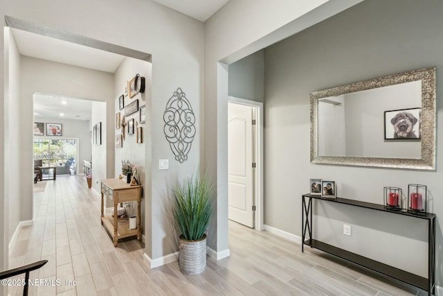 hall featuring light hardwood / wood-style floors