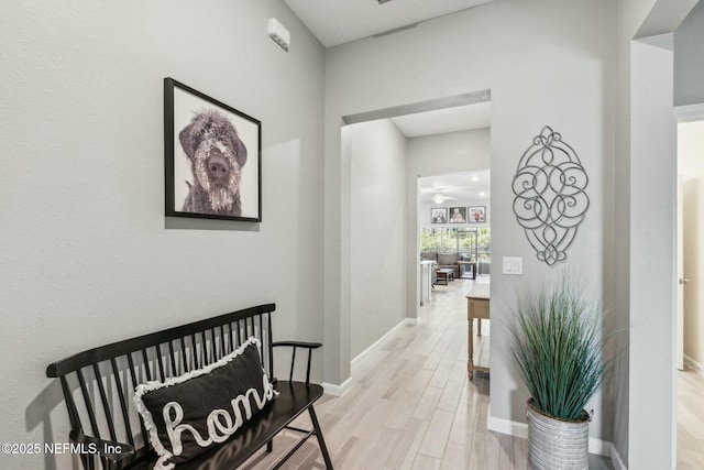 corridor featuring light hardwood / wood-style floors