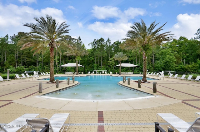 view of swimming pool with a patio area