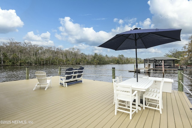 dock area with a water view