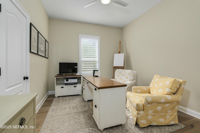 office space featuring ceiling fan and hardwood / wood-style flooring