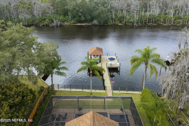 drone / aerial view with a water view