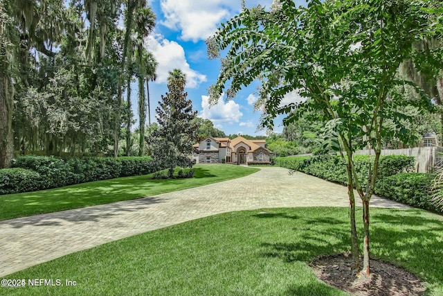 view of community featuring a lawn