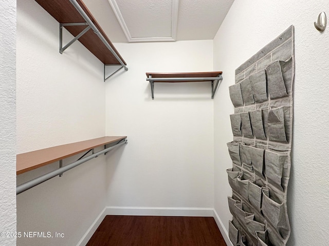 spacious closet with hardwood / wood-style floors