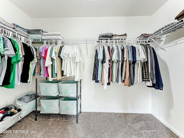 spacious closet with carpet