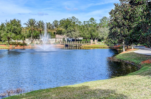 view of water feature