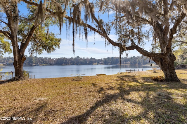 property view of water