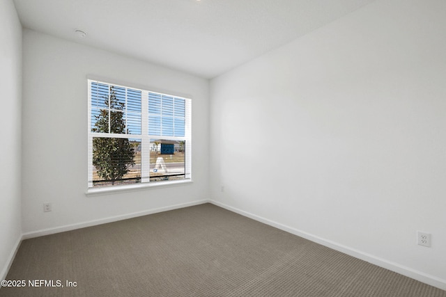 spare room with carpet flooring