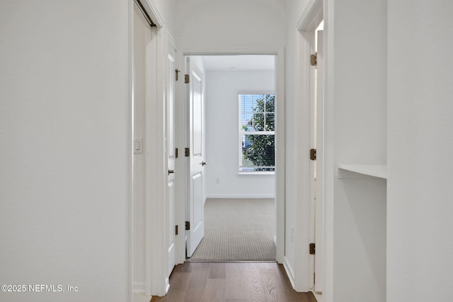 corridor featuring hardwood / wood-style floors