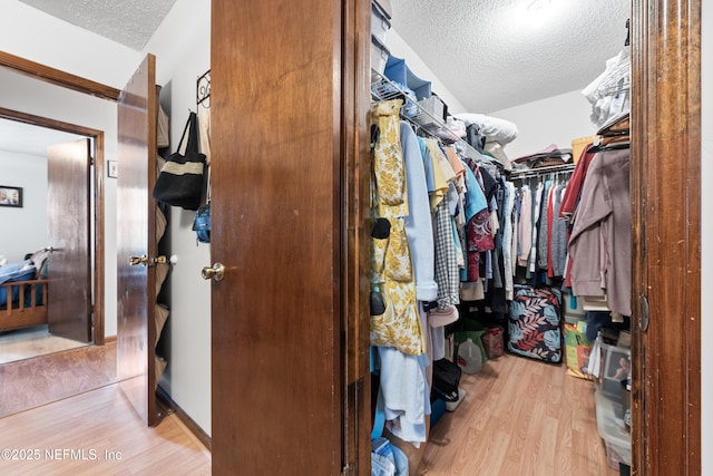 walk in closet featuring light hardwood / wood-style floors