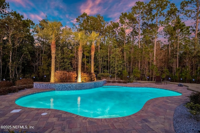 pool at dusk featuring a patio