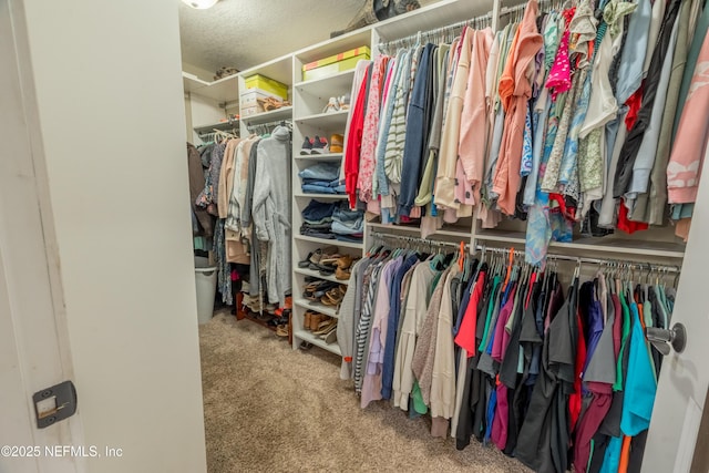 spacious closet with carpet flooring