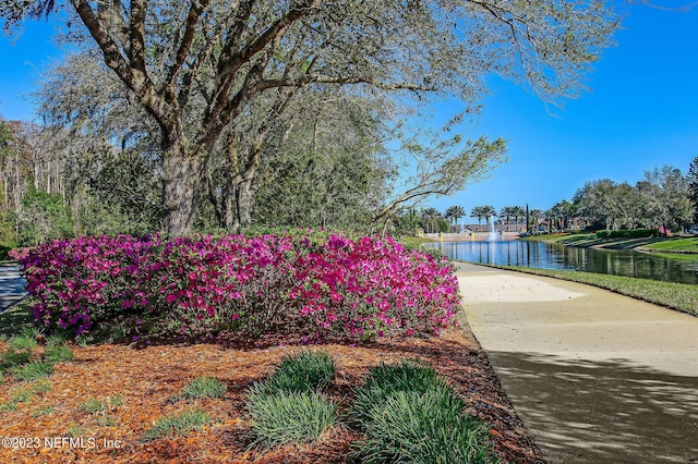 surrounding community with a water view