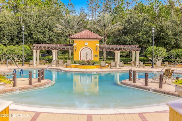 view of swimming pool featuring a patio and a pergola