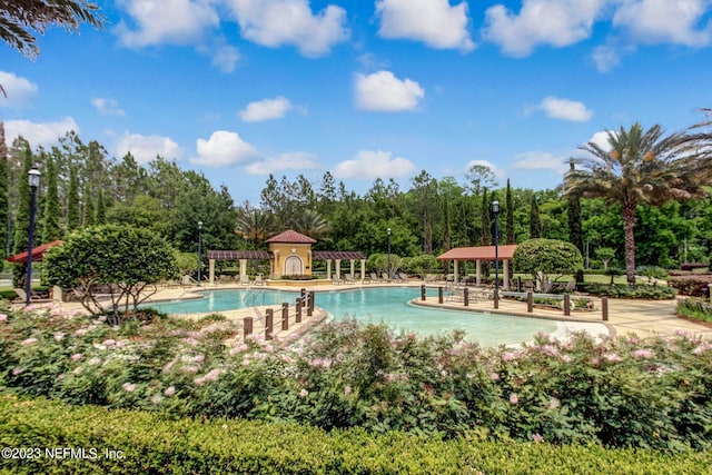 view of pool with a pergola and a patio