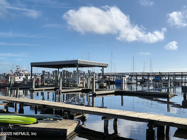 dock area with a water view