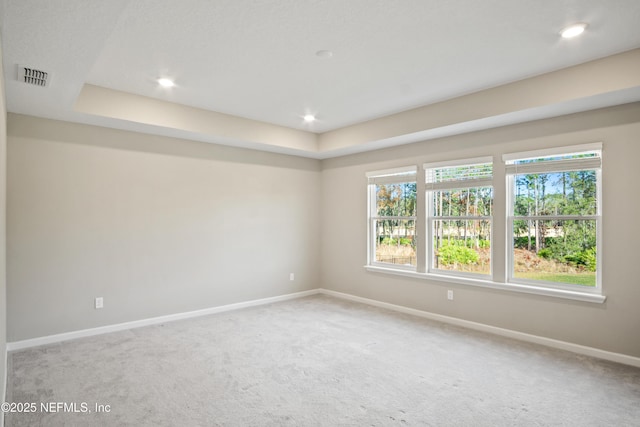 spare room featuring a tray ceiling and carpet flooring