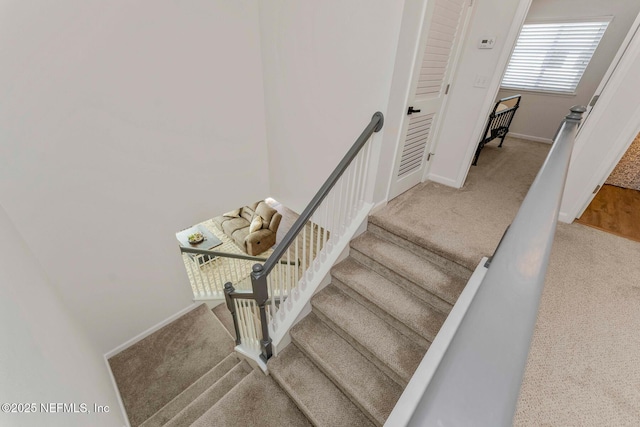 staircase with carpet flooring