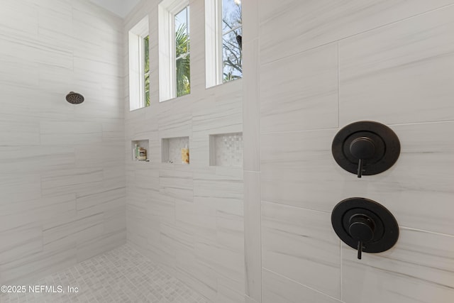 264 N Roscoe Blvd, Palm Valley, FL 32082 - bathroom featuring tiled shower