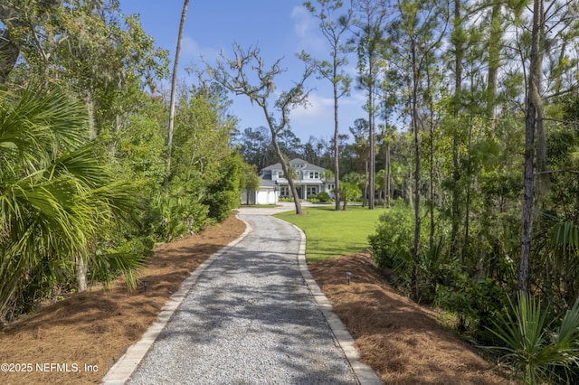 264 N Roscoe Blvd, Palm Valley, FL 32082 - view of road