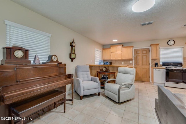 living area with a textured ceiling