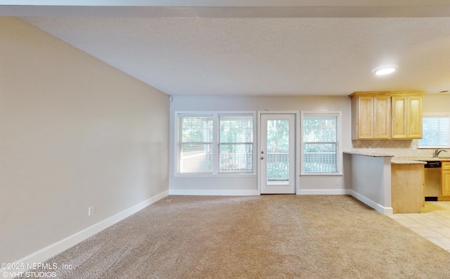 kitchen with decorative backsplash, light brown cabinetry, light colored carpet, dishwasher, and a wealth of natural light