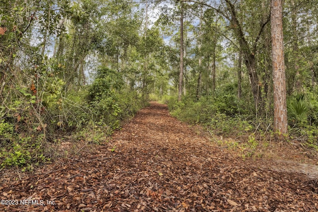 view of local wilderness